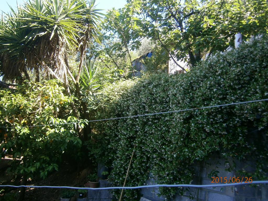 Albergo Il Cantuccio Bolano ภายนอก รูปภาพ